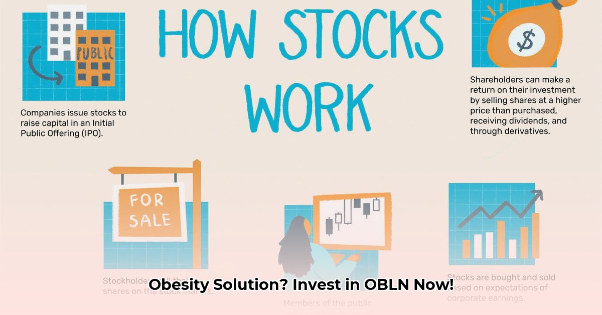 obln-stock